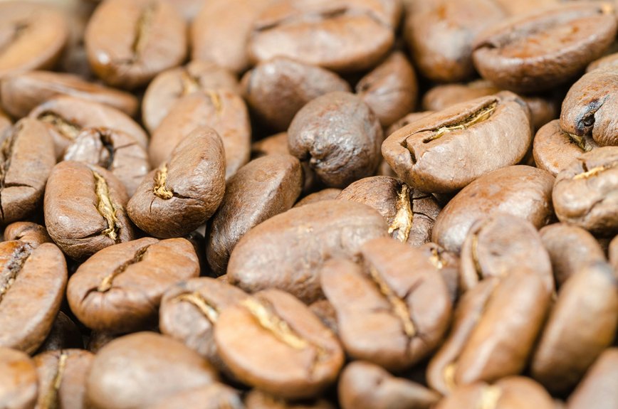 Exploring the Origins of Your Favorite Coffee Beans