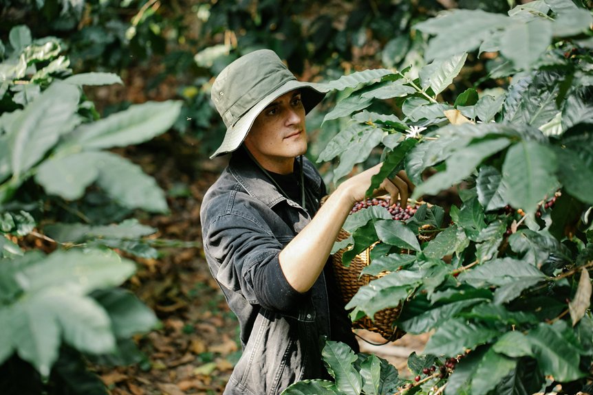 ethically sourced coffee practices